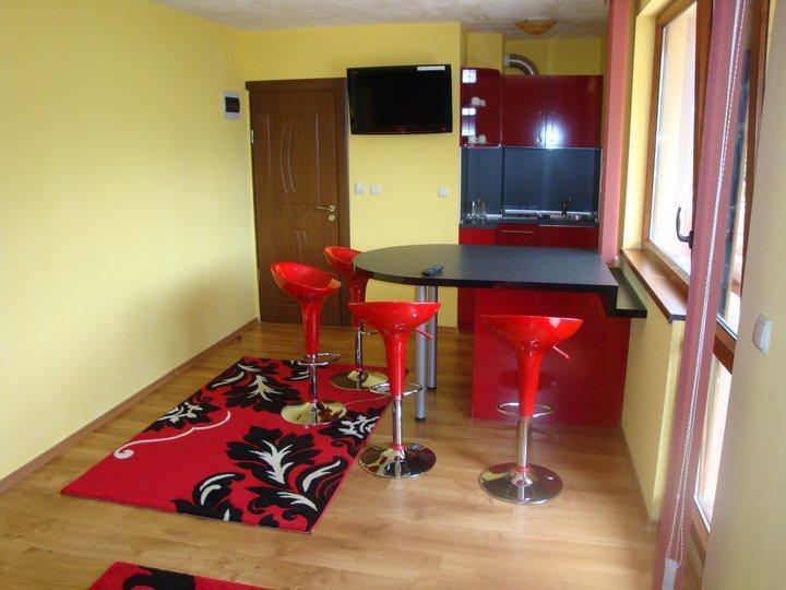 Tzvetelina Palace Hotel Dolna Banya Habitación foto