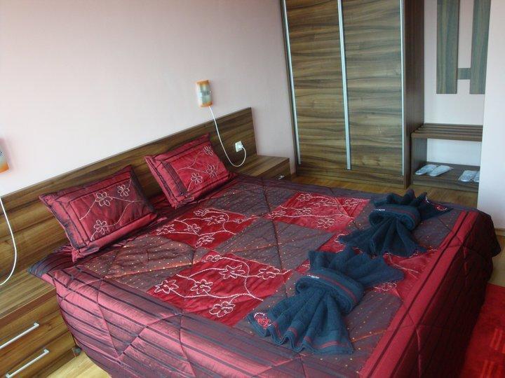 Tzvetelina Palace Hotel Dolna Banya Habitación foto