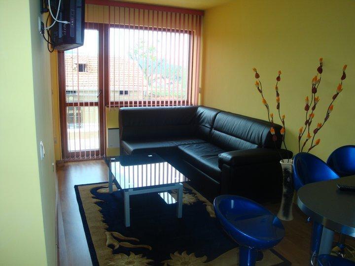 Tzvetelina Palace Hotel Dolna Banya Habitación foto