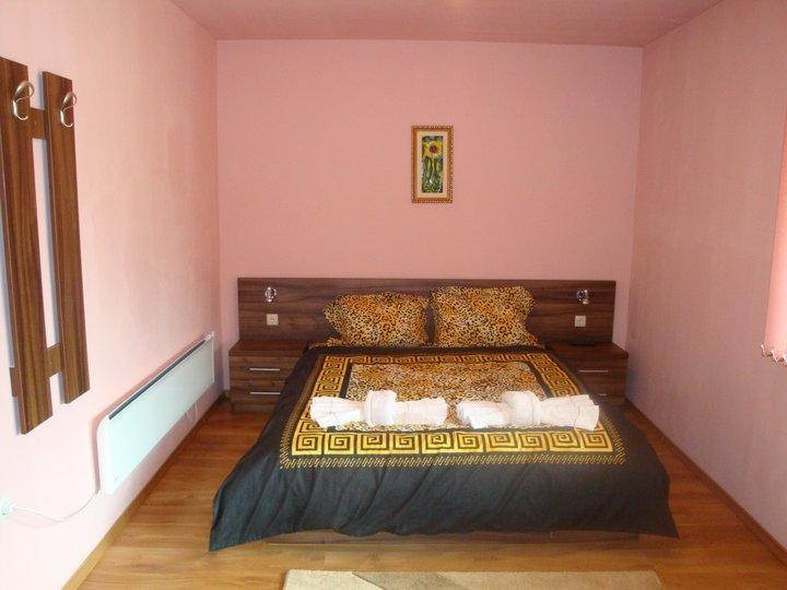 Tzvetelina Palace Hotel Dolna Banya Habitación foto