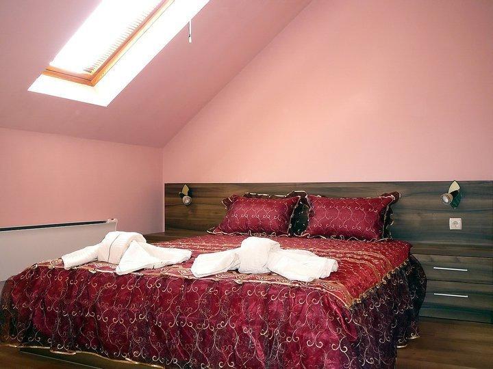Tzvetelina Palace Hotel Dolna Banya Habitación foto