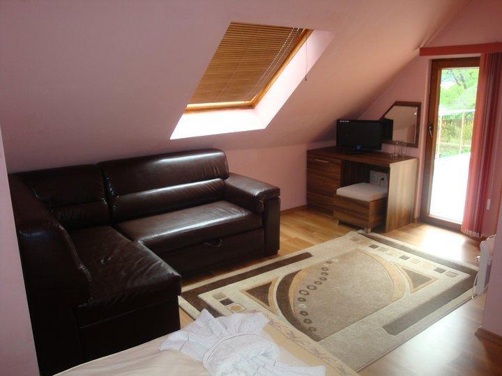 Tzvetelina Palace Hotel Dolna Banya Habitación foto