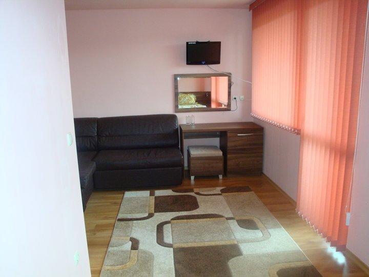 Tzvetelina Palace Hotel Dolna Banya Habitación foto