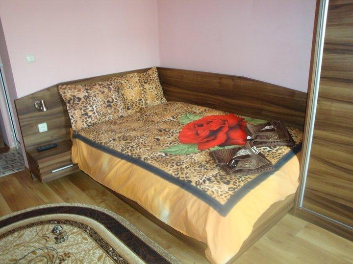 Tzvetelina Palace Hotel Dolna Banya Habitación foto