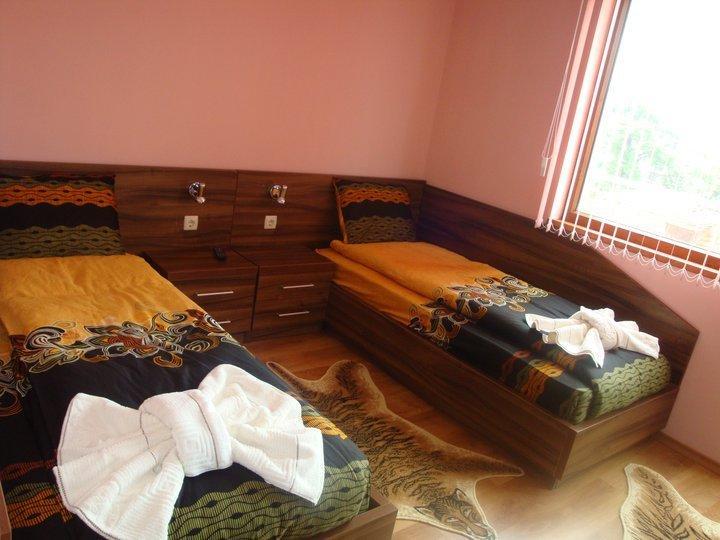 Tzvetelina Palace Hotel Dolna Banya Habitación foto