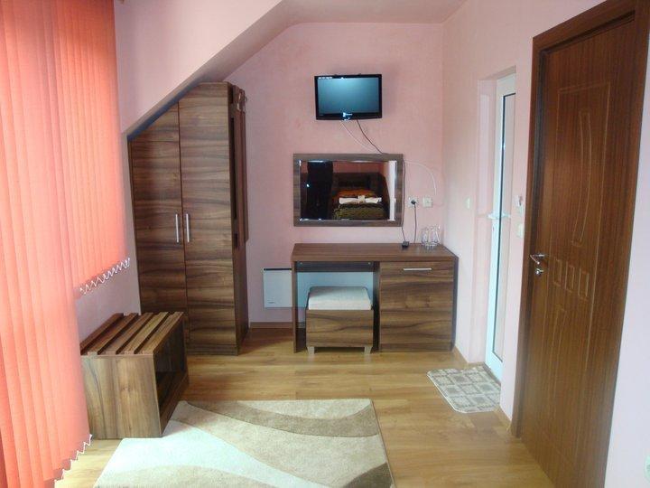Tzvetelina Palace Hotel Dolna Banya Habitación foto